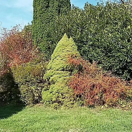Pause A La Campagne Oches